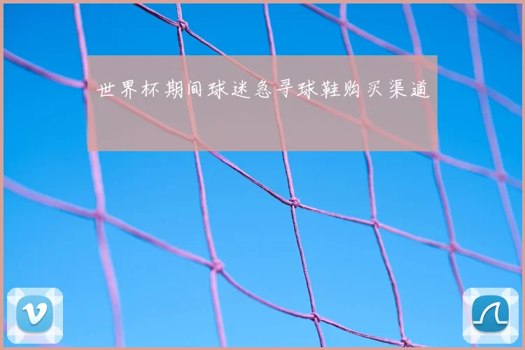 世界杯期间球迷急寻球鞋购买渠道