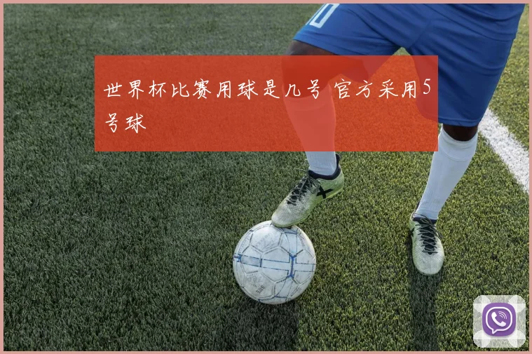 世界杯比赛用球是几号 官方采用5号球