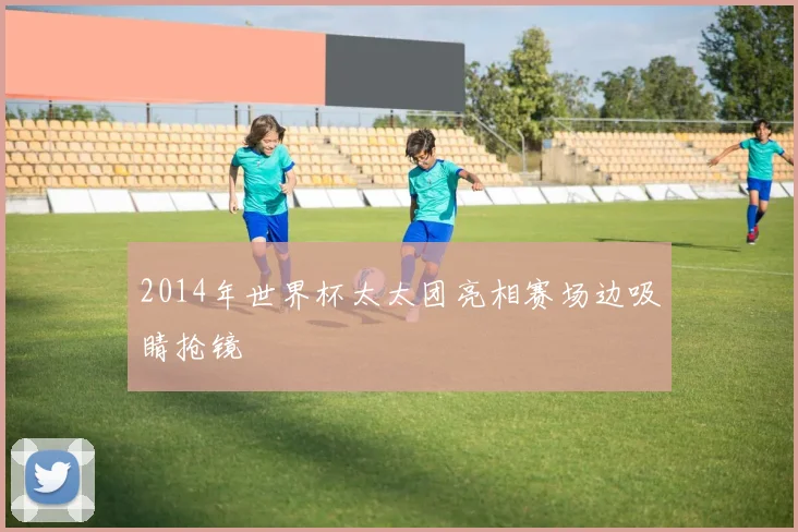 2014年世界杯太太团亮相赛场边吸睛抢镜
