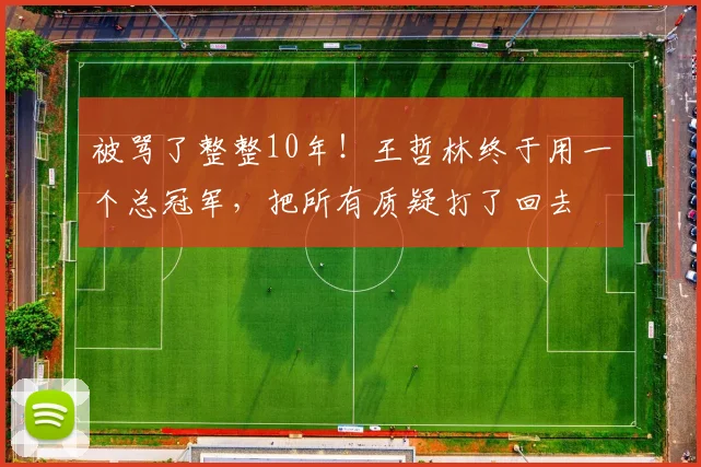 被骂了整整10年！王哲林终于用一个总冠军，把所有质疑打了回去